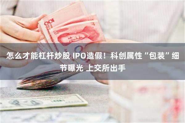 怎么才能杠杆炒股 IPO造假！科创属性“包装”细节曝光 上交所出手