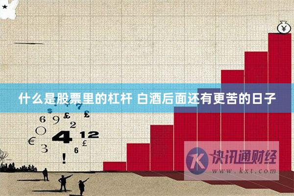 什么是股票里的杠杆 白酒后面还有更苦的日子