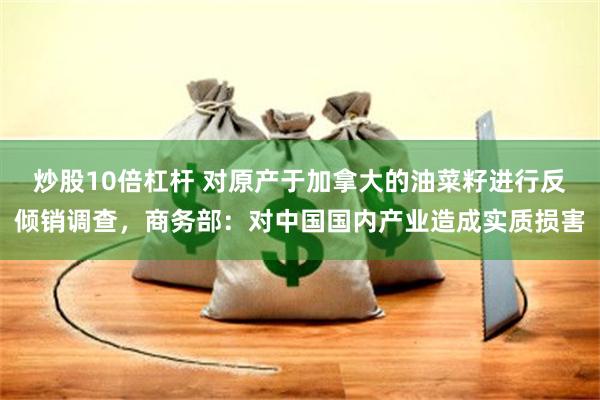 炒股10倍杠杆 对原产于加拿大的油菜籽进行反倾销调查，商务部：对中国国内产业造成实质损害