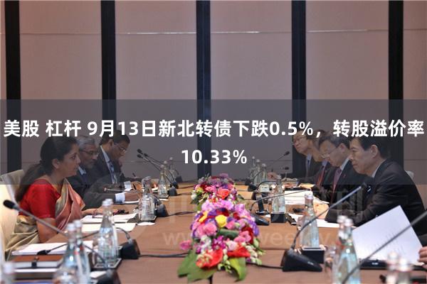 美股 杠杆 9月13日新北转债下跌0.5%，转股溢价率10.33%