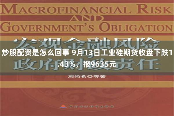 炒股配资是怎么回事 9月13日工业硅期货收盘下跌1.43%，报9635元