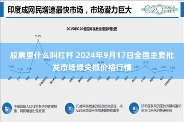股票里什么叫杠杆 2024年9月17日全国主要批发市场绿尖椒价格行情