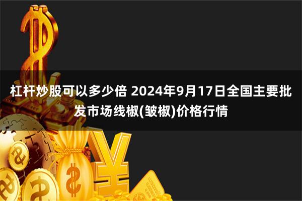 杠杆炒股可以多少倍 2024年9月17日全国主要批发市场线椒(皱椒)价格行情