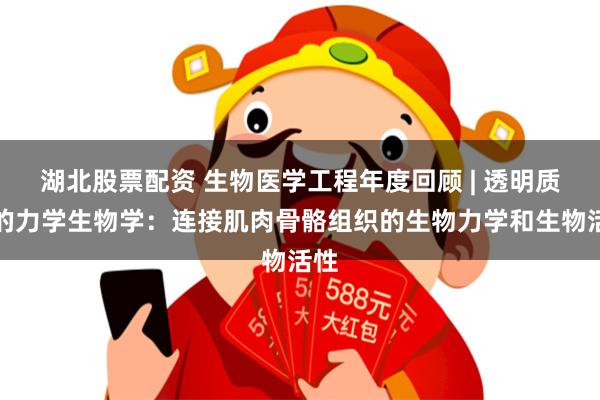 湖北股票配资 生物医学工程年度回顾 | 透明质酸的力学生物学：连接肌肉骨骼组织的生物力学和生物活性
