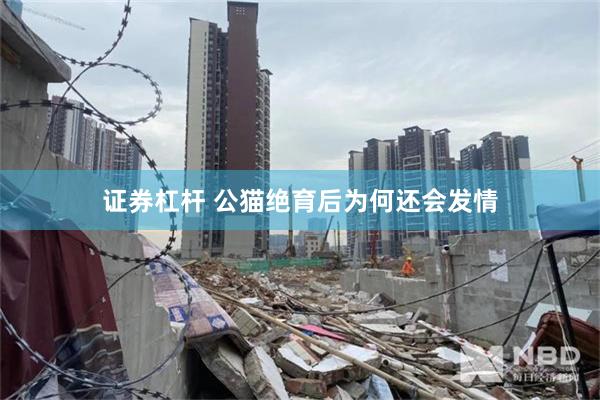 证券杠杆 公猫绝育后为何还会发情