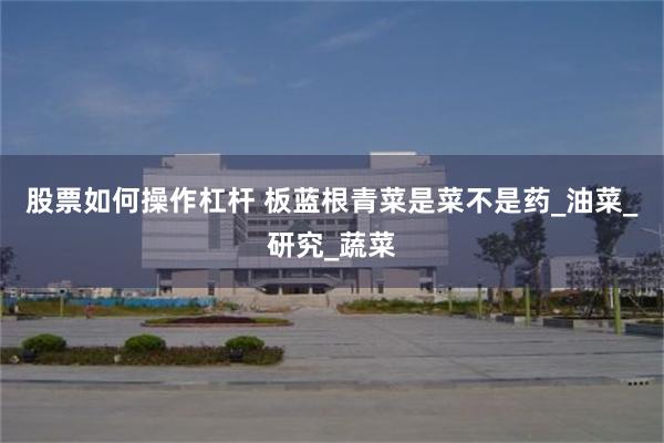 股票如何操作杠杆 板蓝根青菜是菜不是药_油菜_研究_蔬菜