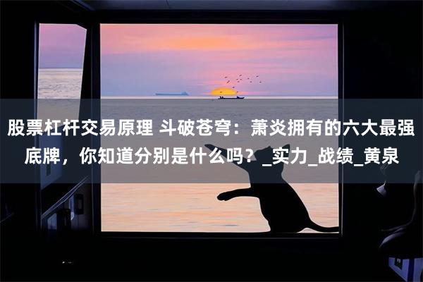 股票杠杆交易原理 斗破苍穹：萧炎拥有的六大最强底牌，你知道分别是什么吗？_实力_战绩_黄泉