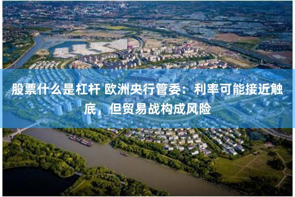 股票什么是杠杆 欧洲央行管委：利率可能接近触底，但贸易战构成风险