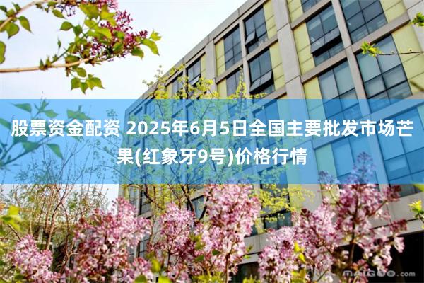 股票资金配资 2025年6月5日全国主要批发市场芒果(红象牙9号)价格行情