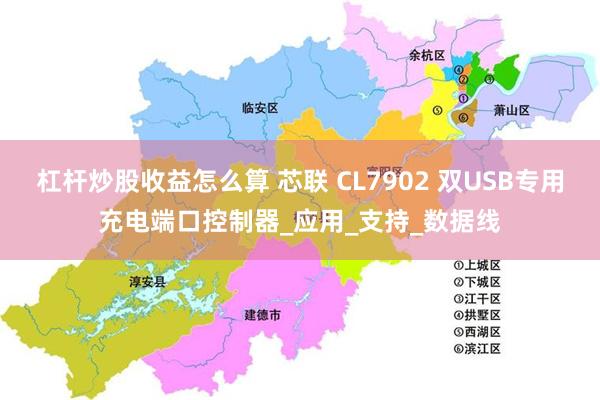 杠杆炒股收益怎么算 芯联 CL7902 双USB专用充电端口控制器_应用_支持_数据线
