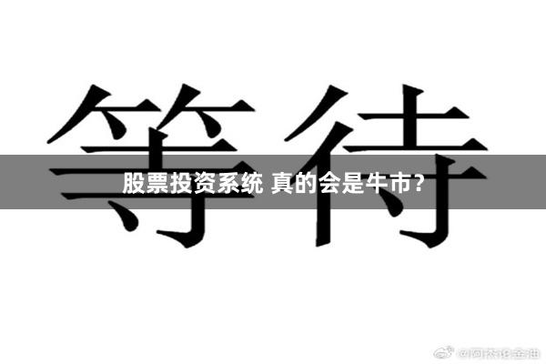 股票投资系统 真的会是牛市？