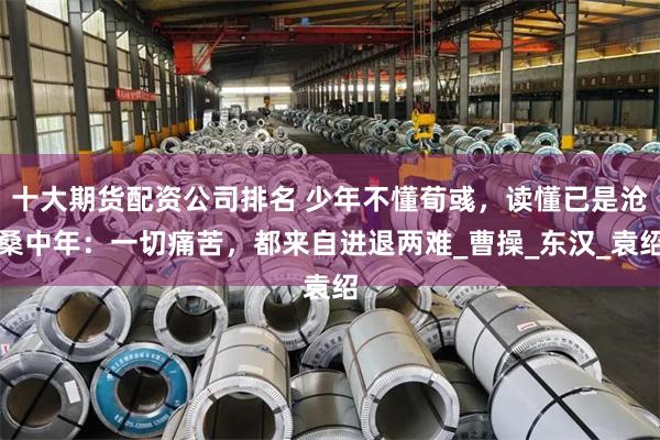 十大期货配资公司排名 少年不懂荀彧，读懂已是沧桑中年：一切痛苦，都来自进退两难_曹操_东汉_袁绍