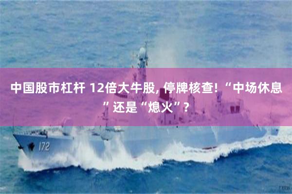 中国股市杠杆 12倍大牛股, 停牌核查! “中场休息”还是“熄火”?