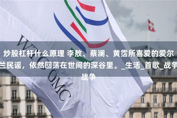 炒股杠杆什么原理 李敖、蔡澜、黄霑所喜爱的爱尔兰民谣，依然回荡在世间的深谷里。_生活_首歌_战争