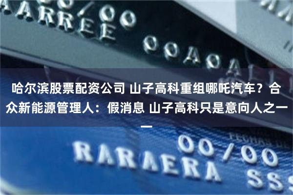 哈尔滨股票配资公司 山子高科重组哪吒汽车？合众新能源管理人：假消息 山子高科只是意向人之一