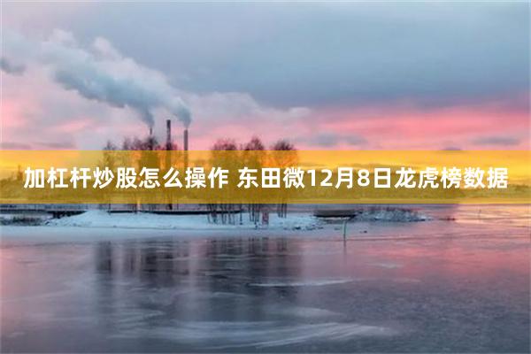 加杠杆炒股怎么操作 东田微12月8日龙虎榜数据